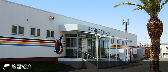 main_info